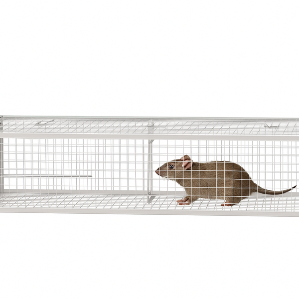 Dierenvriendelijke Muizen- en Rattenval – Herbruikbare Levend Vangkooi