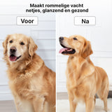 Carewat 6-in-1 Huisdier Stofzuiger en Trimmer Set – Professionele Hondentondeuse met Stofzuiger – Trimset Hond en Kat – Stil, Krachtig en Hygiënisch