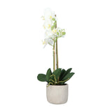 Kopu® Kunstbloem Orchidee 60 cm Wit met cement Sierpot - Phalenopsis