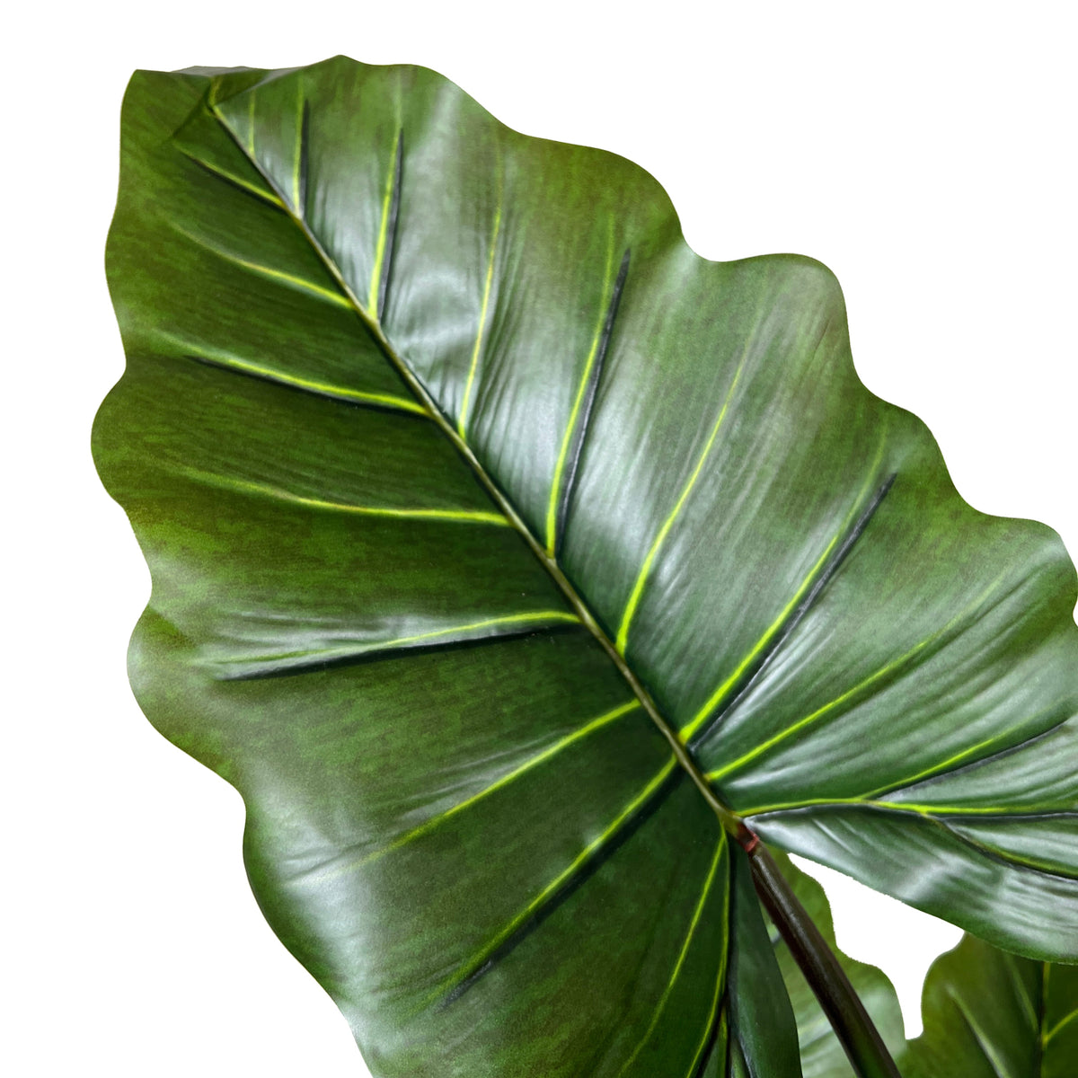 Kopu® Kunstplant Colocasia 180 cm - 19 bladeren - in zwarte pot