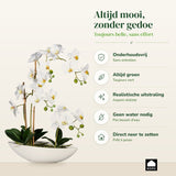 Kopu® Kunstbloem Orchidee 60 cm Wit met Schaal Ovaal - Phalenopsis