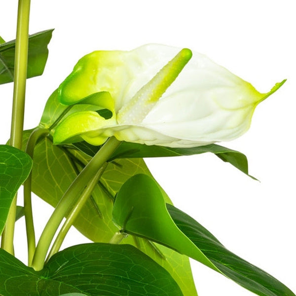 Kopu® 2 stuks Anthurium Wit Kunstplant 40 cm - Flamingoplant Wit