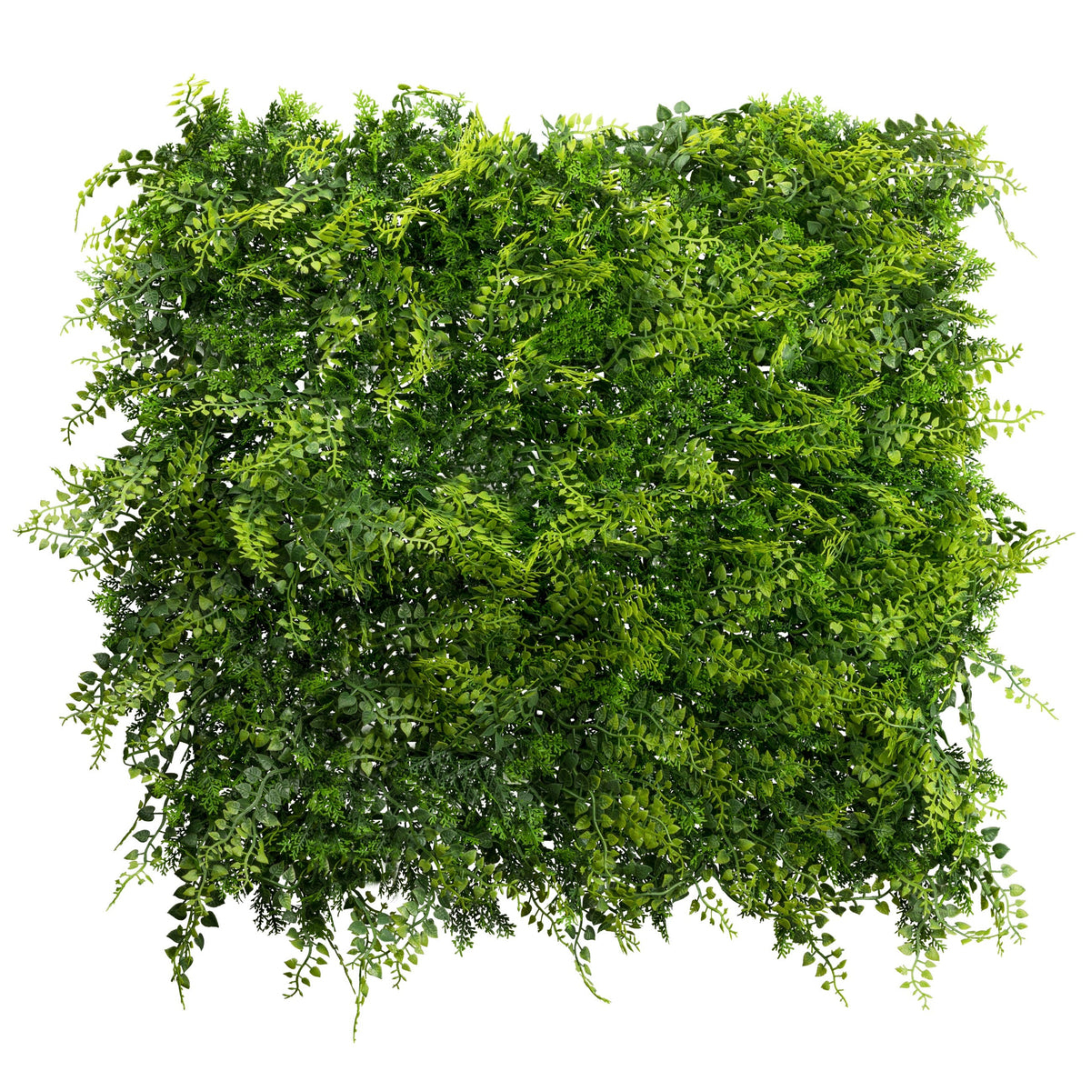 Kopu® UV Bestendig Wandpaneel Planten mat 50x50x7 cm Varens