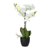 Kopu® Kunstbloem Orchidee 69 cm Wit met zwarte Pot - Phalenopsis