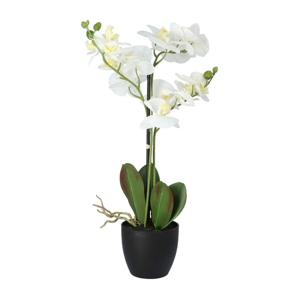 Kopu® Kunstbloem Orchidee 69 cm Wit met zwarte Pot - Phalenopsis