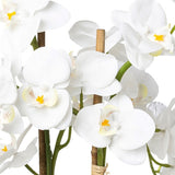 Kopu® Kunstbloem Orchidee 67 cm Wit In Bloempot Rond - Phalaenopsis