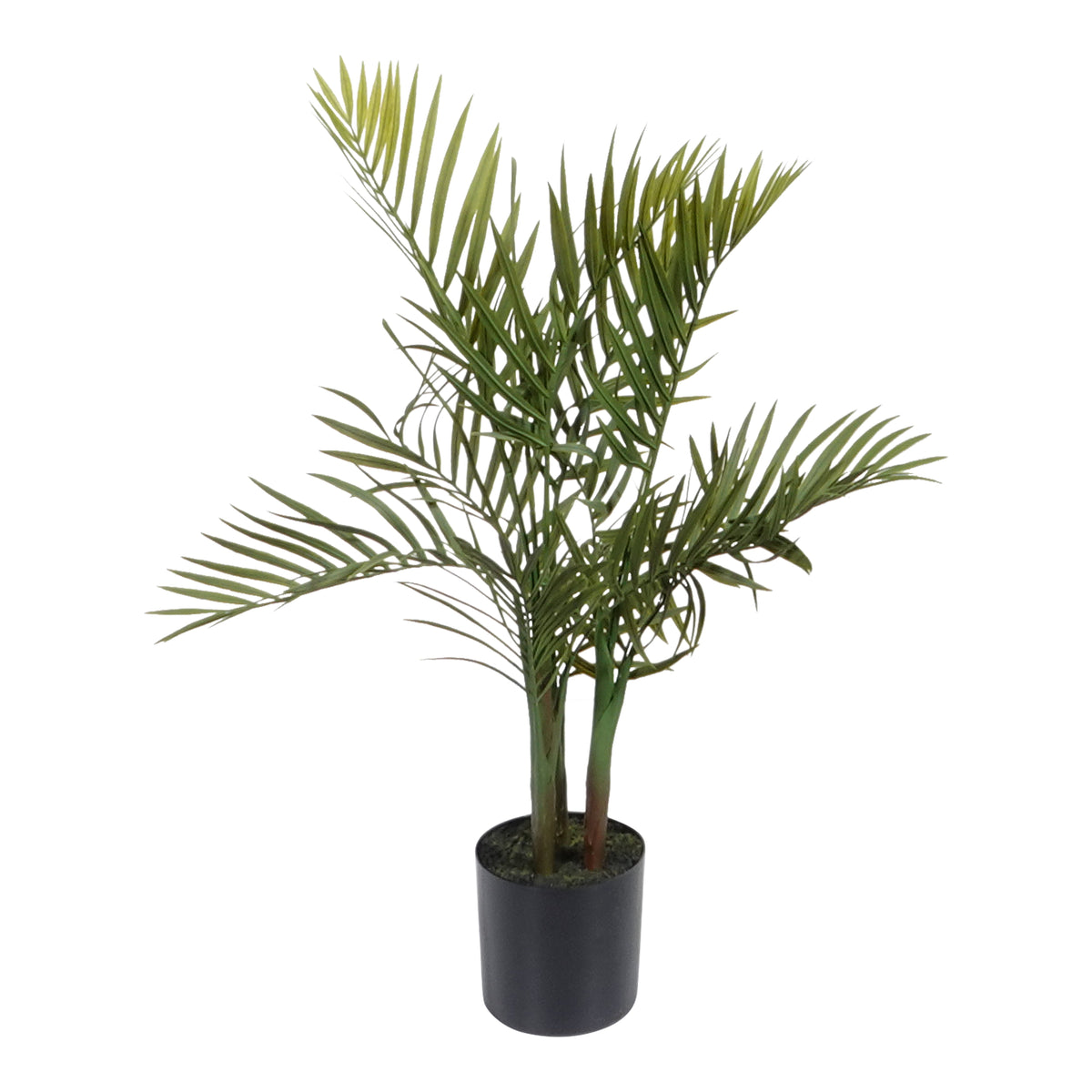 Kopu® Kunstplant Bergpalm 65 cm 3 stammen - in zwarte pot - Nepplant