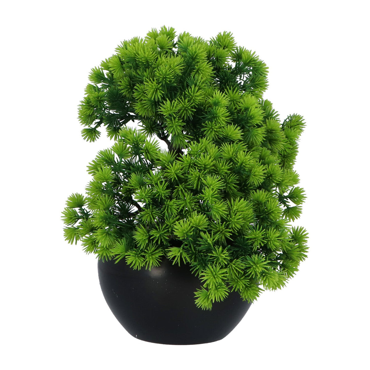 Kopu® Kunstplant Bonsai Lariks 37 cm met zwarte Pot - Bonsai boompje
