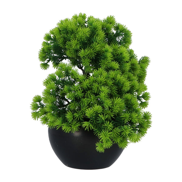 Kopu® Kunstplant Bonsai Lariks 37 cm met zwarte Pot - Bonsai boompje
