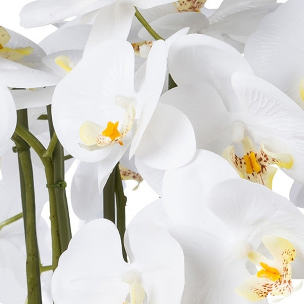 Kopu® Kunstbloem Orchidee 54 cm Wit met Schaal - Phalenopsis