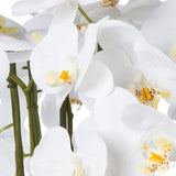 Kopu® Kunstbloem Orchidee 54 cm Wit met Schaal - Phalenopsis