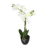 Kopu® Kunstbloem Orchidee 69 cm Wit met zwarte Pot - Phalenopsis