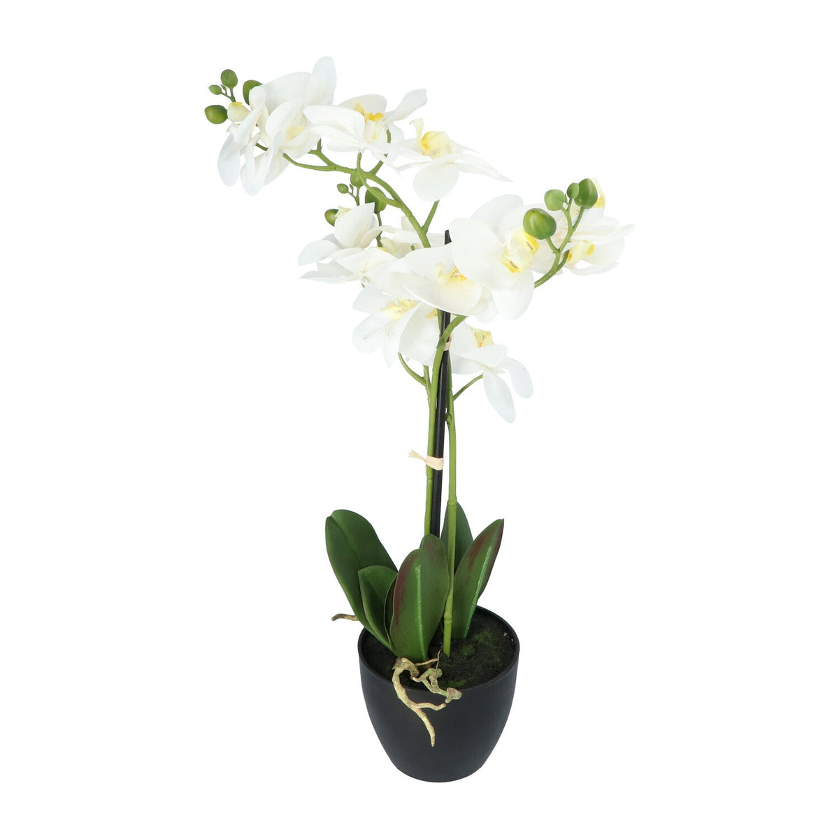 Kopu® Kunstbloem Orchidee 65 cm Wit met zwarte Pot - Phalenopsis