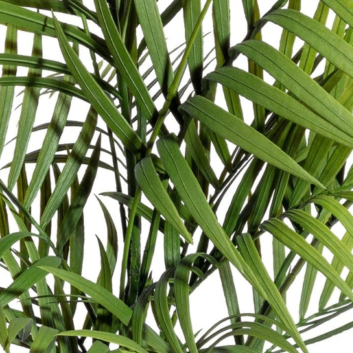 Kopu Kunstplant Bergpalm 65 cm 3 Stammen - In Zwarte Pot - Nepplant