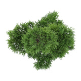 Kopu® Kunstplant Bonsai Ceder 48 cm met zwarte Pot - Bonsai boompje