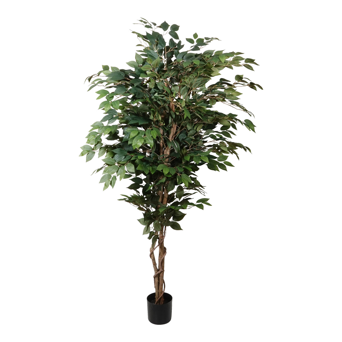Kopu® Kunstplant Ficus Benjamina 150 cm in zwarte pot - 1764 bladeren