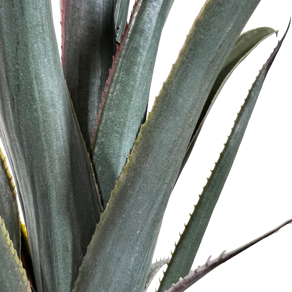 Kopu® Kunstplant Agave 80 cm in zwarte Pot - 2 stammen - Nepplant