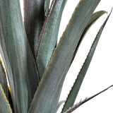 Kopu® Kunstplant Agave 80 cm in zwarte Pot - 2 stammen - Nepplant