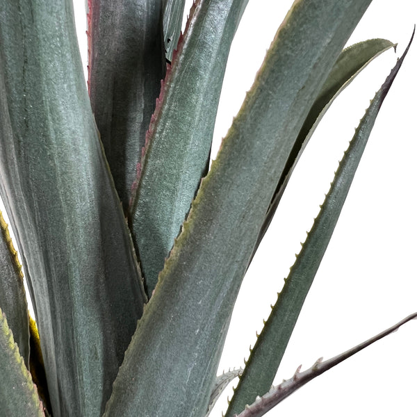 Kopu® Kunstplant Agave 80 cm in zwarte Pot - 2 stammen - Nepplant
