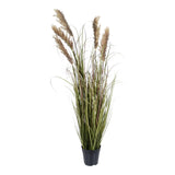 Kopu® Kunstplant Pluimgierst 122 cm - 5 halmen - in zwarte pot