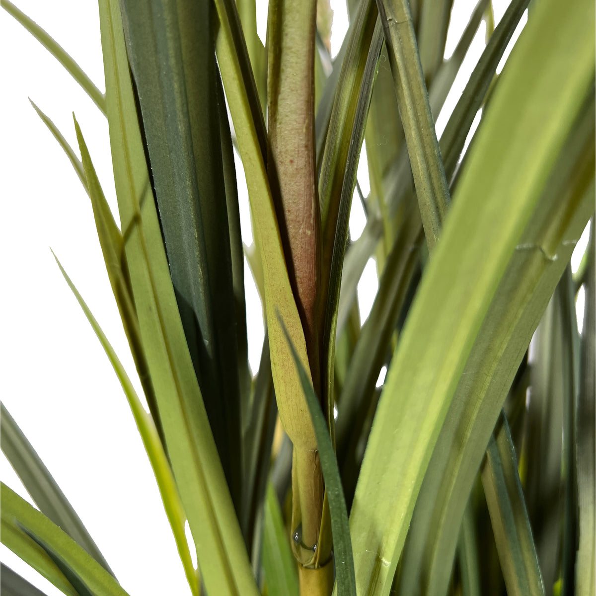 Kopu® Kunstplant Miscanthus 135 cm - 7 pluimen - in zwarte pot