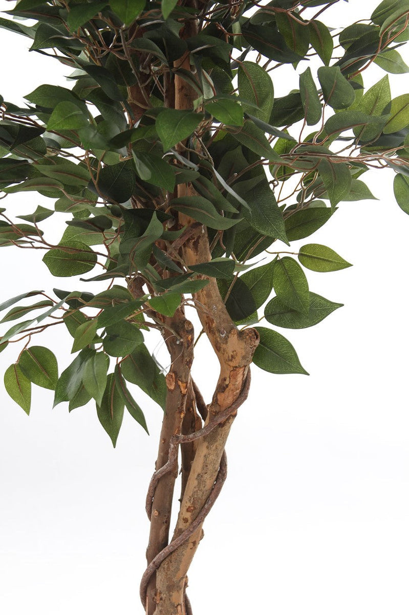 Kopu® Kunstplant Ficus 125 cm in pot met Natuurstam