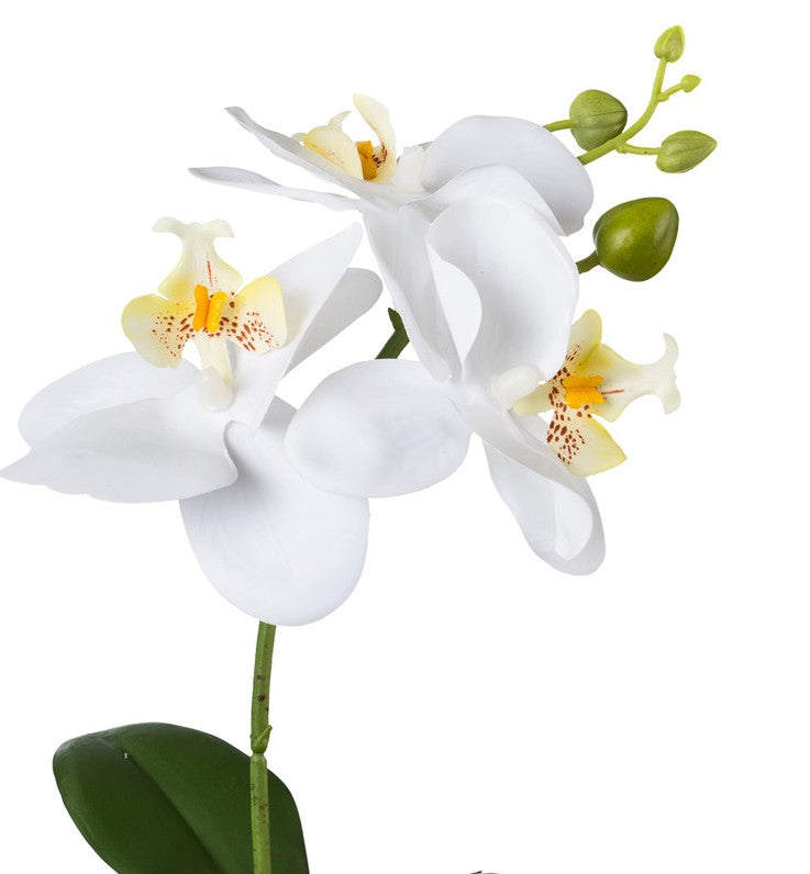 Kopu® Set 2 stuks Mini Kunstplant Orchidee 27 cm in witte Sierpot - Wit