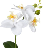 Kopu® Set 2 stuks Mini Kunstplant Orchidee 27 cm in witte Sierpot - Wit