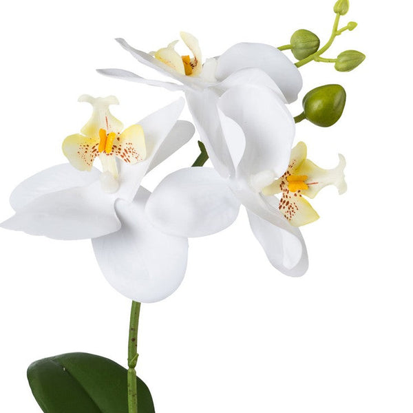 Kopu® Set 2 stuks Mini Kunstplant Orchidee 27 cm in witte Sierpot - Wit