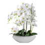 Kopu® Kunstbloem Orchidee 60 cm Wit met Schaal Ovaal - Phalenopsis
