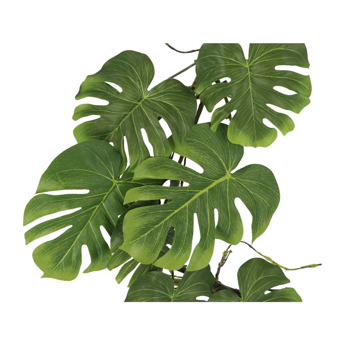 Kopu Hangplant Split Philodendron 119 cm - Macramé Plantenhanger Xl