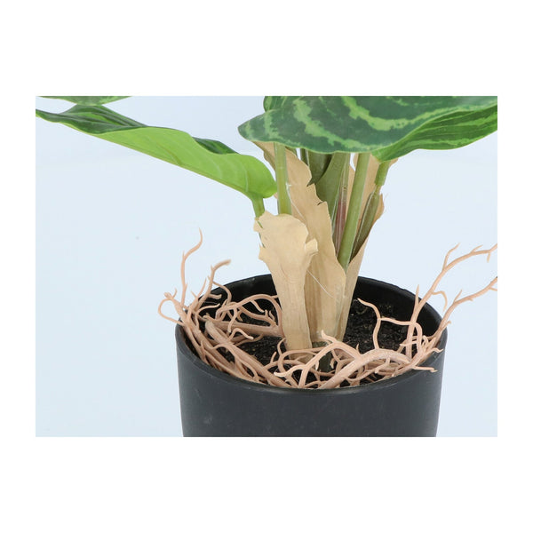 Kopu® 2 stuks Kunstplant Aglaonema 35 cm - 14 bladeren - in zwarte pot