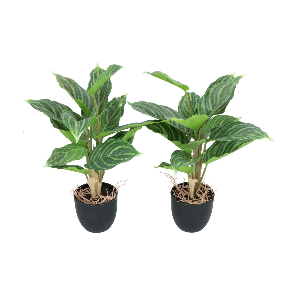 Kopu® 2 stuks Kunstplant Aglaonema 35 cm - 14 bladeren - in zwarte pot
