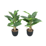Kopu® 2 stuks Kunstplant Aglaonema 35 cm - 14 bladeren - in zwarte pot