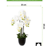 Kopu® Kunstbloem Orchidee 69 cm Wit met zwarte Pot - Phalenopsis