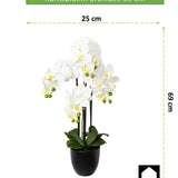 Kopu® Kunstbloem Orchidee 69 cm Wit met zwarte Pot - Phalenopsis