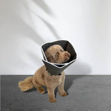 Hondenkraag - Zwart - Verstelbaar met Klittenband - Hondenkap - Beschermkap voor Hond - Beschermkraag