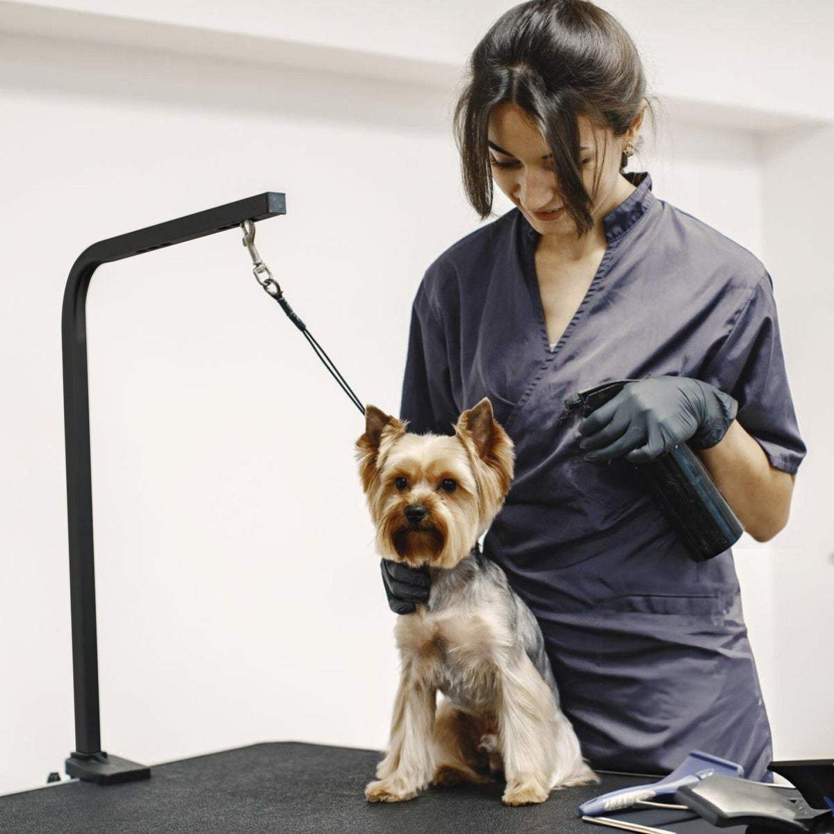 Animali Hondentrimtafel