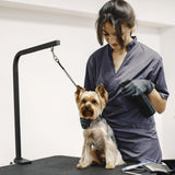 Animali Hondentrimtafel