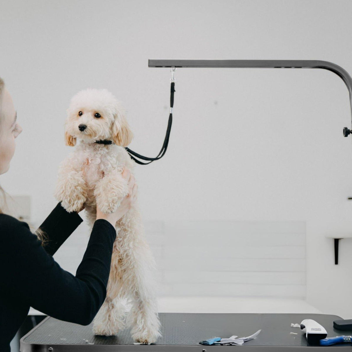 Animali Hondentrimtafel