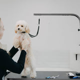 Animali Hondentrimtafel