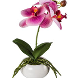 Kopu® Set 2 stuks Kunstplant Mini Orchidee 27 cm in witte Sierpot - Roze