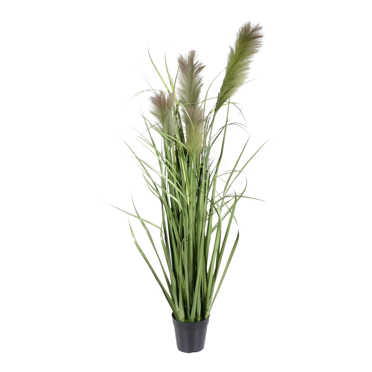 Kopu® Kunstplant Chinees Riet 120 cm - 4 pluimen - in zwarte pot