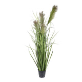 Kopu® Kunstplant Chinees Riet 120 cm - 4 pluimen - in zwarte pot