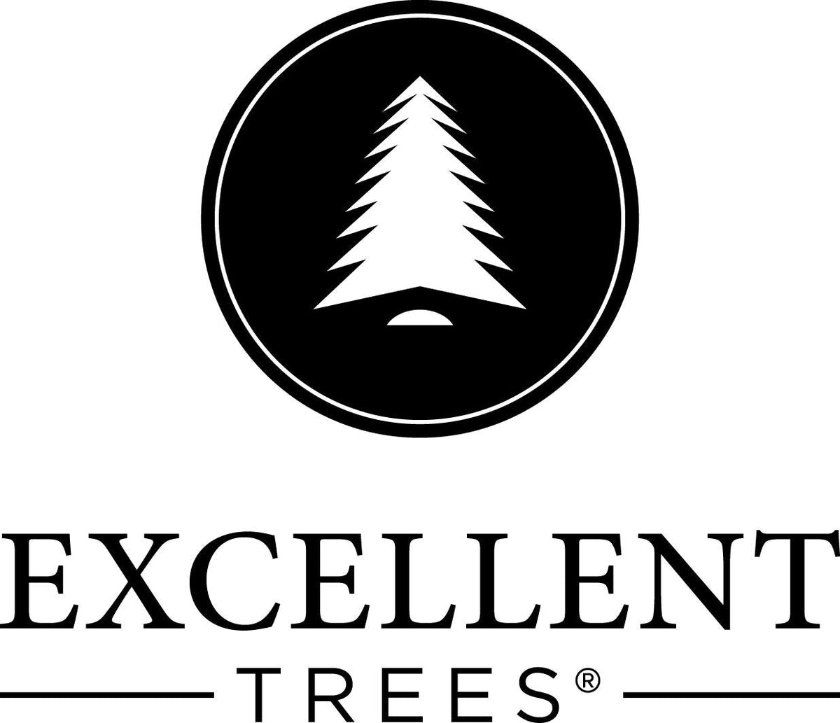 Kerstboom Excellent Trees® Stavanger Green 240 cm -  ⌀145cm - ↕240cm