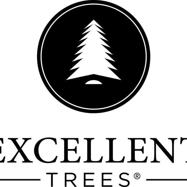 Excellent Trees® LED Falun 150 cm - Luxe Kerstboom met lampjes -  ⌀102 cm - ↕150 cm