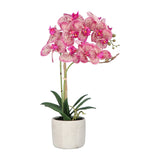 Kopu® Kunstbloem Orchidee 60 cm Roze -  cement Sierpot - Phalenopsis