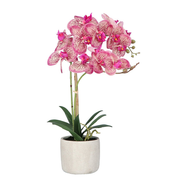 Kopu® Kunstbloem Orchidee 60 cm Roze -  cement Sierpot - Phalenopsis