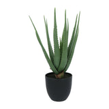 Kopu® Kunstplant Aloe Vera 55 cm in zwarte Bloempot - 17 bladeren