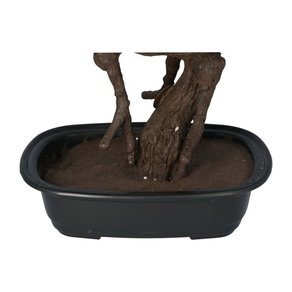 Kopu® Kunstplant Bonsai 65 cm Pijnboom met zwarte Pot - Bonsai boompje